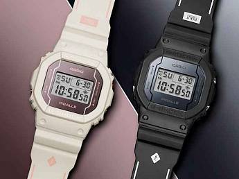 DW-5600PGB-1E