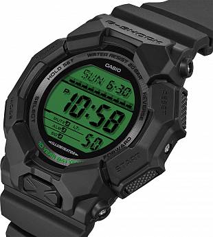 GD-010BEG-1